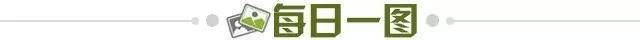 f2f7ac38-b94f-4969-be36-ed3cf04b54d7.jpg@!img01